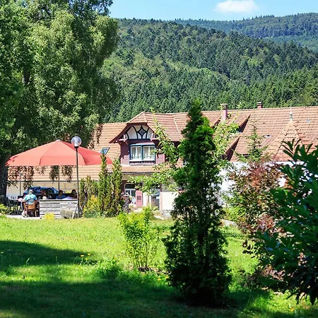 L'ermitage 2* Le Hohwald